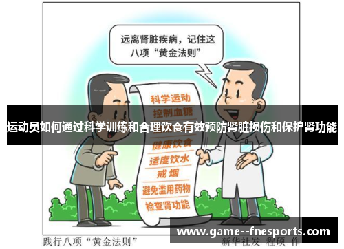 运动员如何通过科学训练和合理饮食有效预防肾脏损伤和保护肾功能